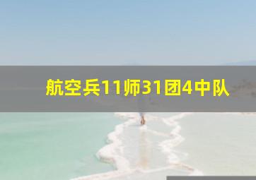 航空兵11师31团4中队