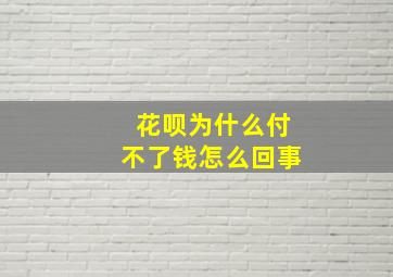 花呗为什么付不了钱怎么回事