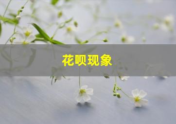 花呗现象