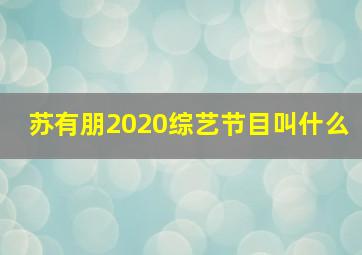 苏有朋2020综艺节目叫什么