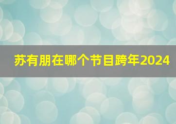 苏有朋在哪个节目跨年2024