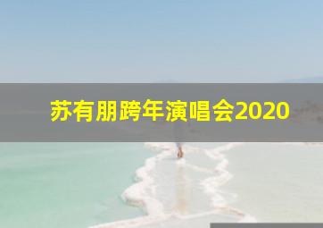 苏有朋跨年演唱会2020