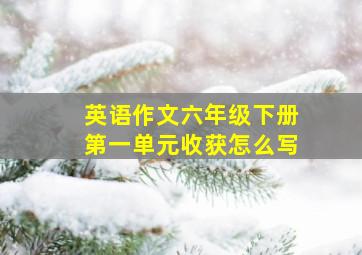 英语作文六年级下册第一单元收获怎么写