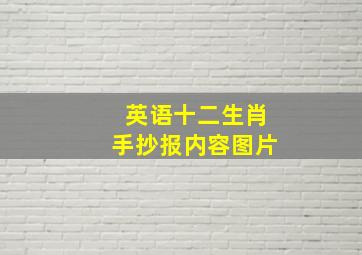 英语十二生肖手抄报内容图片