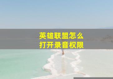 英雄联盟怎么打开录音权限