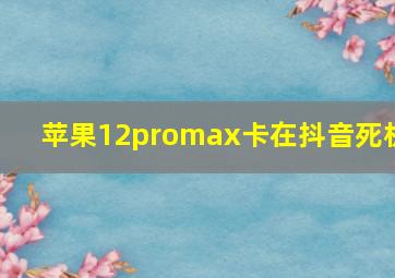 苹果12promax卡在抖音死机