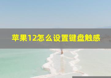 苹果12怎么设置键盘触感