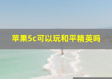 苹果5c可以玩和平精英吗