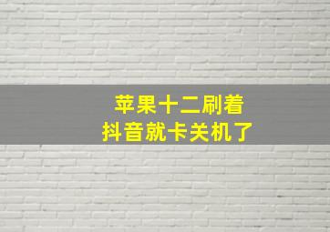 苹果十二刷着抖音就卡关机了