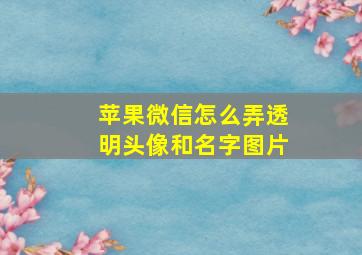 苹果微信怎么弄透明头像和名字图片