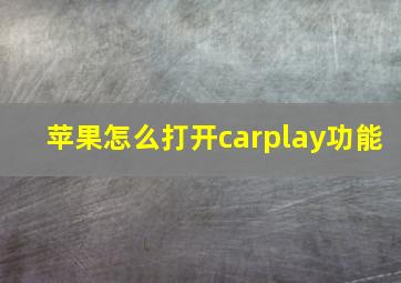 苹果怎么打开carplay功能