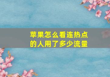 苹果怎么看连热点的人用了多少流量