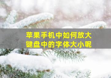 苹果手机中如何放大键盘中的字体大小呢