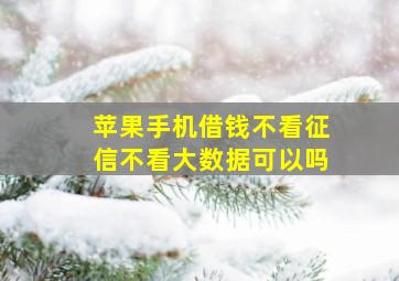 苹果手机借钱不看征信不看大数据可以吗