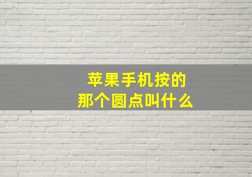 苹果手机按的那个圆点叫什么