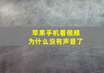 苹果手机看视频为什么没有声音了