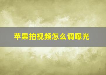 苹果拍视频怎么调曝光