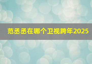 范丞丞在哪个卫视跨年2025