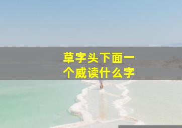 草字头下面一个威读什么字