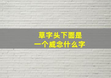 草字头下面是一个威念什么字