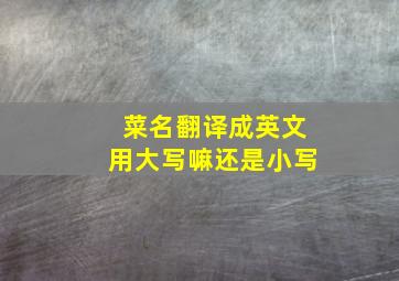 菜名翻译成英文用大写嘛还是小写