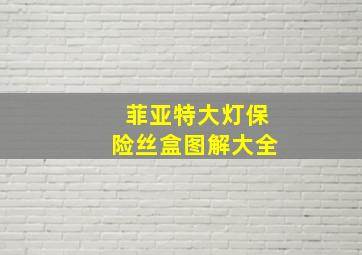 菲亚特大灯保险丝盒图解大全