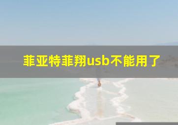 菲亚特菲翔usb不能用了