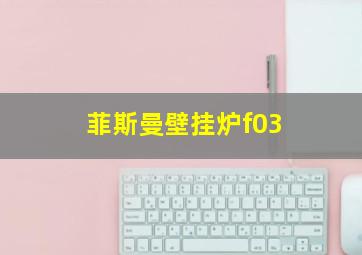 菲斯曼壁挂炉f03