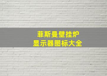 菲斯曼壁挂炉显示器图标大全