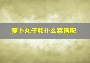 萝卜丸子和什么菜搭配