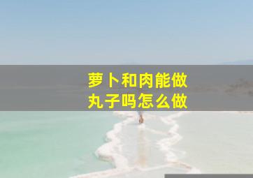 萝卜和肉能做丸子吗怎么做