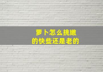 萝卜怎么挑嫩的快些还是老的