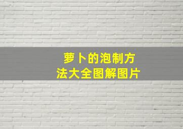 萝卜的泡制方法大全图解图片