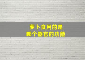 萝卜食用的是哪个器官的功能