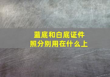 蓝底和白底证件照分别用在什么上