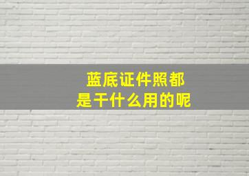 蓝底证件照都是干什么用的呢