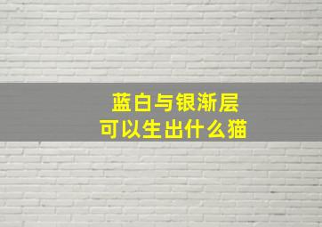 蓝白与银渐层可以生出什么猫