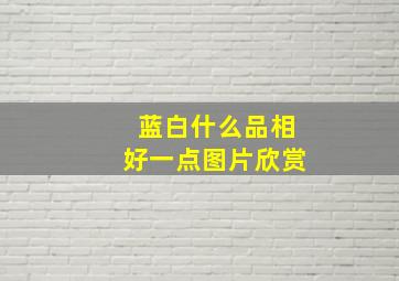 蓝白什么品相好一点图片欣赏