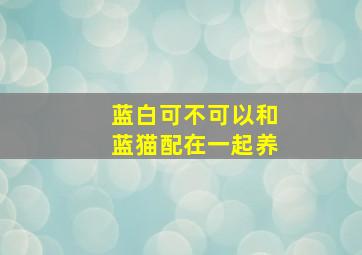 蓝白可不可以和蓝猫配在一起养