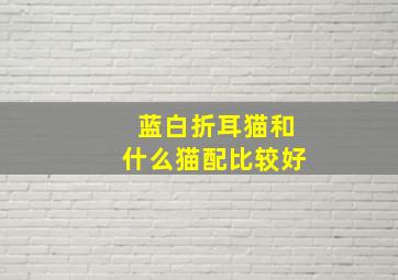 蓝白折耳猫和什么猫配比较好