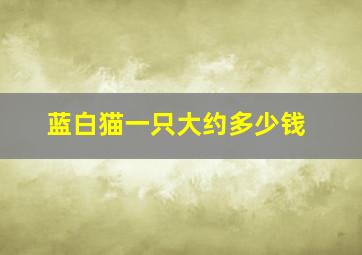 蓝白猫一只大约多少钱