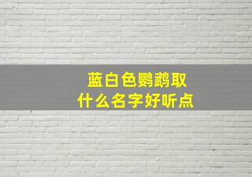 蓝白色鹦鹉取什么名字好听点