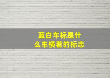 蓝白车标是什么车横着的标志