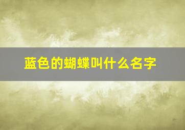 蓝色的蝴蝶叫什么名字