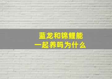 蓝龙和锦鲤能一起养吗为什么