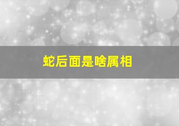 蛇后面是啥属相