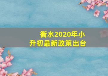 衡水2020年小升初最新政策出台