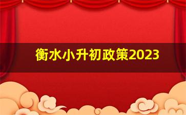 衡水小升初政策2023