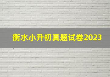 衡水小升初真题试卷2023