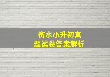 衡水小升初真题试卷答案解析